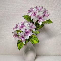 yupiです♪紫陽花。ミニバラとネモフィラ。ディップフラワー 楽天市場】四季咲きミニバラ 【ゼプティ】 4号ポット苗 登録品種