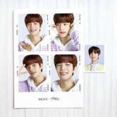 straykids MANIAC Seoul IDフォトホルダー - メルカリ