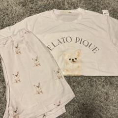 ジェラートピケ ルームウェア　上下セット パジャマ 冷感素材 チワワ かわいい ジェラートピケ】《3dogコレクション》発売中！チワワ