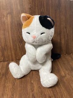 へそ天⭐︎ねころにゃん⭐︎おかかBIGぬいぐるみ