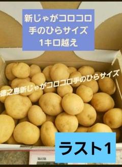 2025年最新】ジャガイモコロコロ 野菜の人気アイテム - メルカリ
