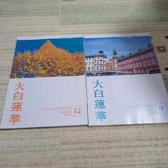2025年最新】大白蓮華の人気アイテム - メルカリ