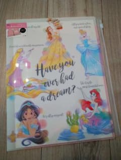 クリアファイル ラプンツェルの中古 未使用品を探そう メルカリ