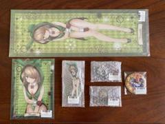 戦国乙女　山本カンスケ　まとめ売り