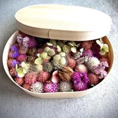 【出来立て当日割引】お花のおべんとう ドライフラワー ボックス No.O1
