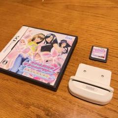 動作確認済み【ラブアンドベリー】カードリーダー　限定色ピンク ラブアンドベリー DSソフトとカードリーダー 付属カードセット