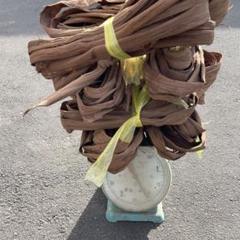 山葡萄皮約3.1キロ