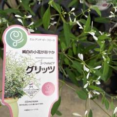 yellow様 リクエスト 3点 まとめ商品 m52780349969_1.jpg?1751000312