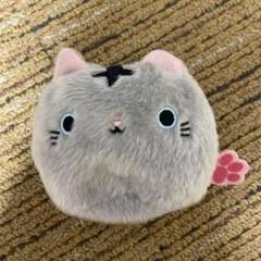2025年最新】ねこ猫ぬいぐるみの人気アイテム - メルカリ