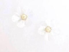 liqui かすみ草クリアピアス