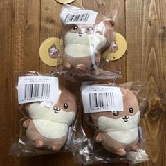 ナガノのカワウソ　D賞マスコット×3