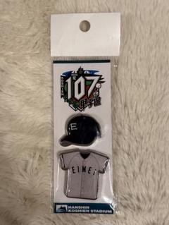 第107回高校野球 甲子園 叡明高校 ユニフォームピンバッジセット