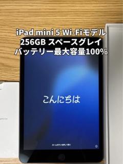 iPad mini 5 Wi-Fiモデル 256GB スペースグレイ