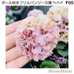専用‼︎フリルパンジー ⑳ ＊種子100粒 F05】希少！豪華・ボール咲きフリルパンジーの種（10粒） - メルカリ