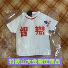 智辯学園　Vジャン　ジャンパー　グッズ 2025年最新】智辯学園 野球の人気アイテム - メルカリ