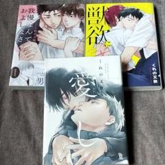 くれの又秋セット バラ売り可能