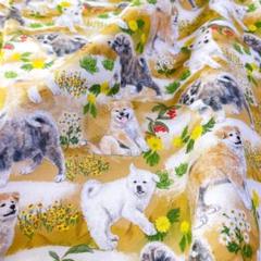【オリジナル生地】秋田犬　仔犬　野原　茶色