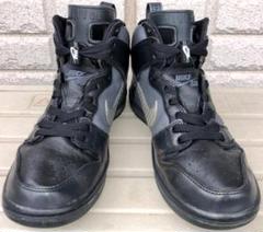 NIKEナイキSBダンクDUNK HIGH PRO QS FPAR 25.5cmのサムネイル