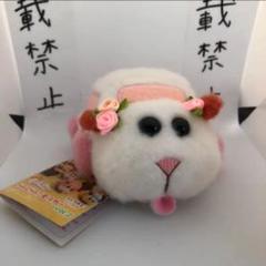 PUIPUIモルカー びゅんびゅん!モルカー ウエディングモルカー