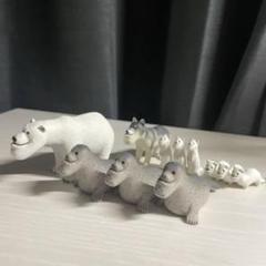 【お買い得】シャクレルプラネット