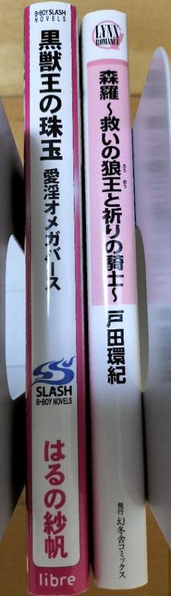 BL小説 BLコミック まとめ売り 44冊 セット - メルカリ