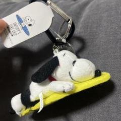 ハワイ限定 スヌーピー ぬいぐるみ 水色 スヌーピー サーフショップ スヌーピー限定シリーズハワイ限定 サーフショップ ぬいぐるみ