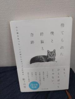 捨てられた僕と母猫と奇跡