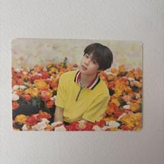 BTS Jimin LOVE YOURSELF フォトカード