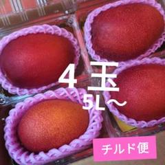 07.22.01○特大・宮崎マンゴー○5L～サイズ4玉○チルド発送