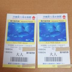 沖縄美ら海水族館 チケット・2枚