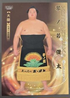 琴櫻 琴ノ若 雅大 大相撲 相撲 力士 大関 国技館 BBM 日本相撲協会