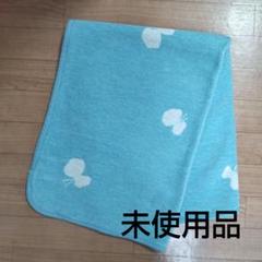 KLIPPAN オーガニックコットン ミニブランケット ミナペルホネン 水色