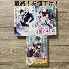 後宮を飛び出したとある側室の話　1〜3巻セット