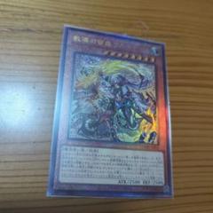 教導の雷霆フルルドリス
