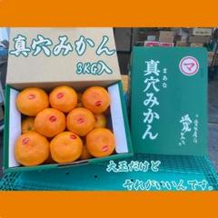 2025年最新】真 穴 の みかんの人気アイテム - メルカリ