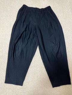 【価格更新】HOMME PLISSE 紫 ストライプ サルエルパンツ サイズ3 価格更新】HOMME PLISSE 紫 ストライプ サルエルパンツ サイズ3