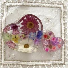 専用♡お花の小物入れとリング♡固まるハーバリウム