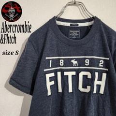 アバクロンビーアンドフィッチ Tシャツ カットソー ビッグロゴ アップリケロゴ
