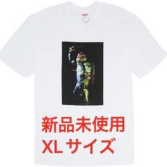 ラファエル tシャツの中古/未使用品 - メルカリ