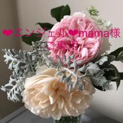 優しいお色のカップ咲きのピンクの挿し木1本 とアイボリーのバラ挿し木1本おまけ。