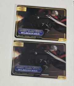 TYPE-MOON アニメイト a.b-t.c 2025 在りし日のエミヤオルタ
