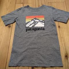 patagonia グレー Tシャツ L(12)
