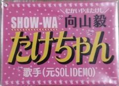 【SHOW-WA 向山毅】お台場冒険王限定ブロマイド 全5種セット たけちゃん SHOW-WA 向山毅】お台場冒険王限定ブロマイド 全5種セット たけ