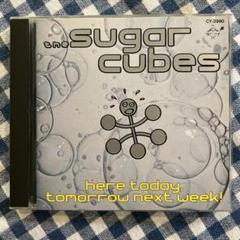 ■10インチ盤■シュガー・キューブス/The Sugarcubes/ビョーク The Sugarcubes - Sugarcubes – Björk Official Store