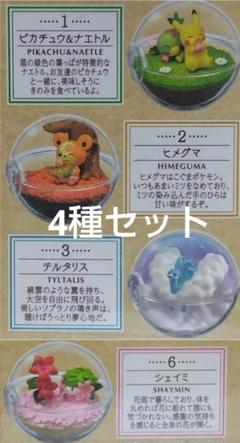 2025年最新】ヒメグマ モンコレの人気アイテム - メルカリ