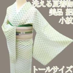 ほつれ直し丸洗済み単衣訪問着トールサイズ正絹