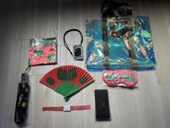 Lady Gagaクロマティカボール VIP席コンサートグッズ 非売品 Lady Gagaクロマティカボール VIP席コンサートグッズ 非売品