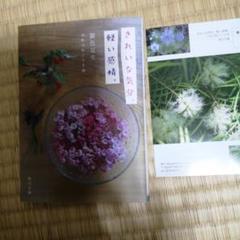 きれいな気分 軽い気持ち　銀色夏生　つれづれノート44 KADOKAWA