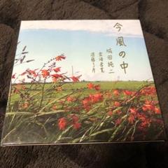 今風の中　城田純二　CD
