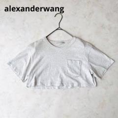 alexanderwang アレキサンダーワン 半袖Tシャツ クロップド丈 XS